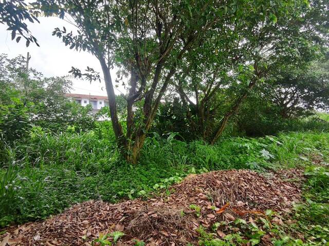 Terreno para Venda em Itanhaém - 4