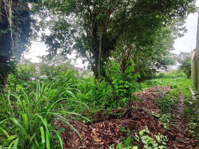 Terreno para Venda em Itanhaém - 5