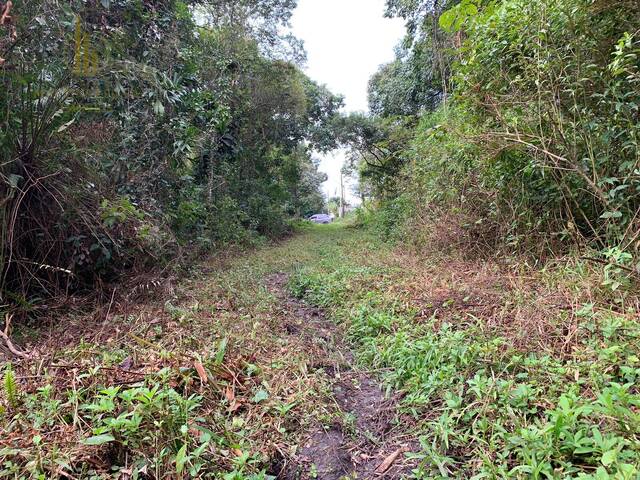 Terreno para Venda em Itanhaém - 4