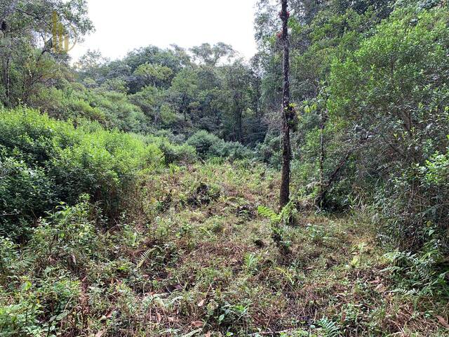 Terreno para Venda em Itanhaém - 5