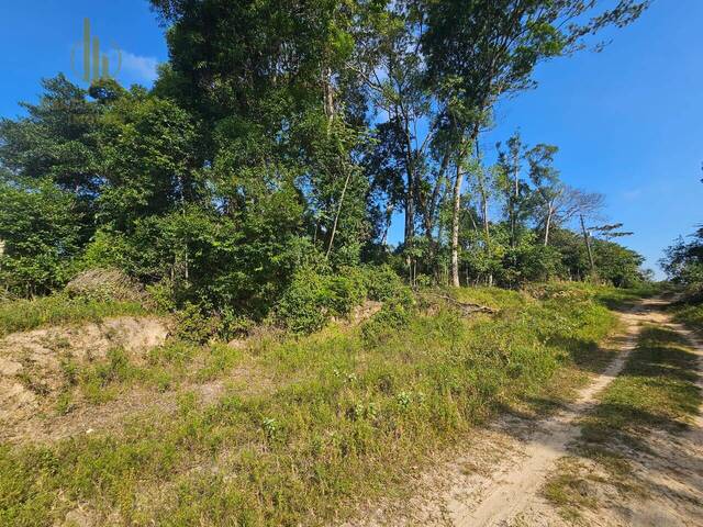 #T025 - Terreno para Venda em Itanhaém - SP - 1