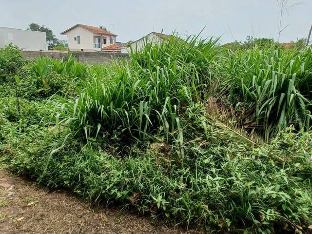 Terreno para Venda em Itanhaém - 4