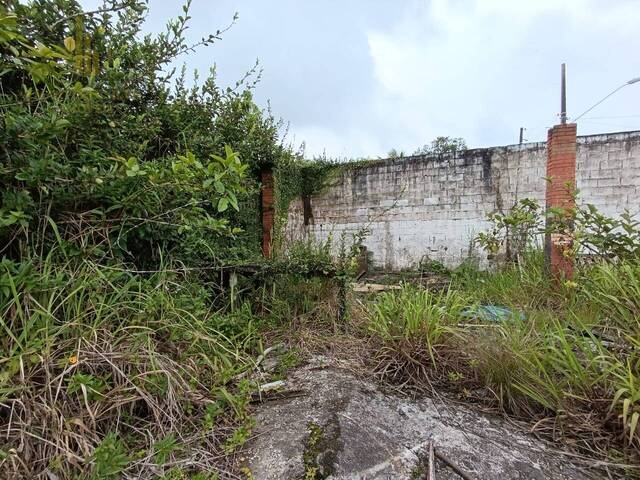 #T037 - Terreno para Venda em Peruíbe - SP - 3