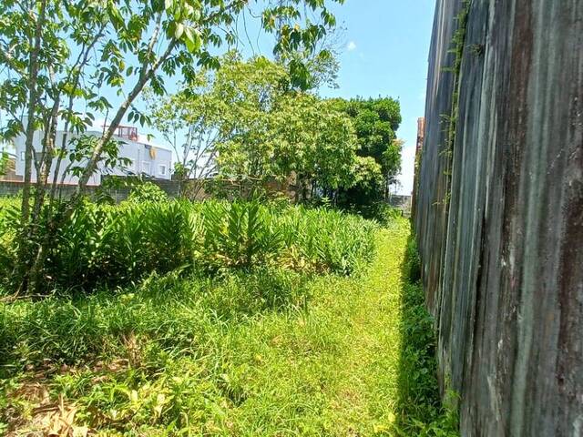 #T038 - Terreno para Venda em Itanhaém - SP - 1