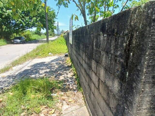 Terreno para Venda em Itanhaém - 5