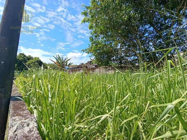 #T040 - Terreno para Venda em Itanhaém - SP - 3
