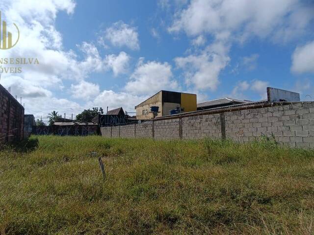 #T041 - Terreno para Venda em Itanhaém - SP