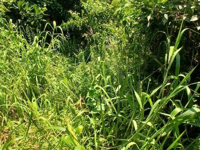 #T042 - Terreno para Venda em Itanhaém - SP - 3