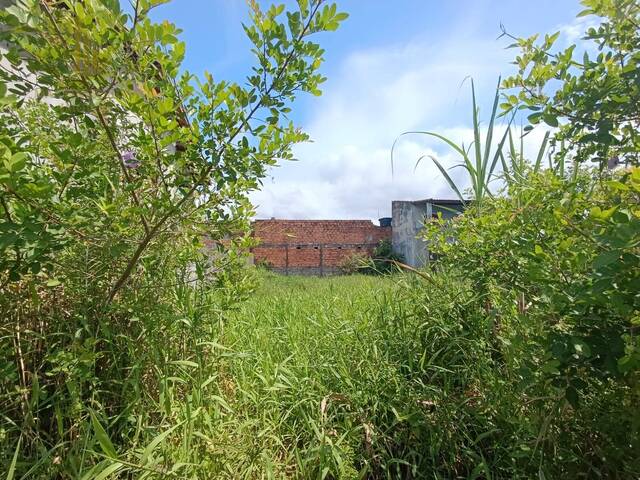 #T045 - Terreno para Venda em Itanhaém - SP - 2