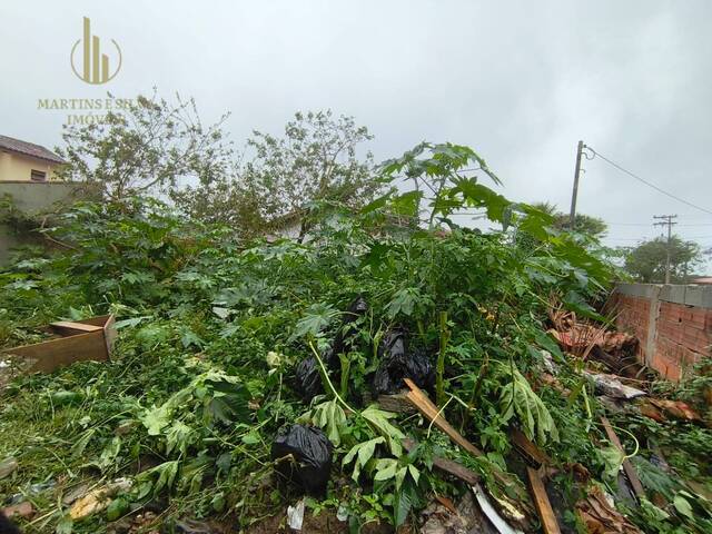 Terreno para Venda em Itanhaém - 4