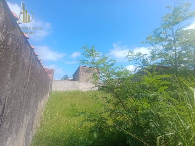 Terreno para Venda em Itanhaém - 4