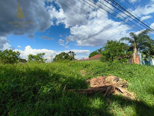 #T062 - Terreno para Venda em Peruíbe - SP - 3