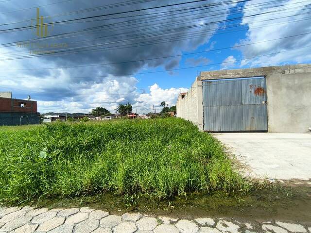 Terreno para Venda em Peruíbe - 4