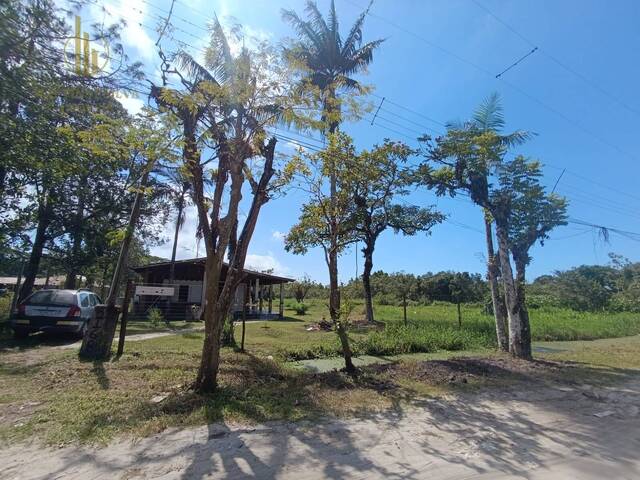 Chácara para Venda em Itanhaém - 5